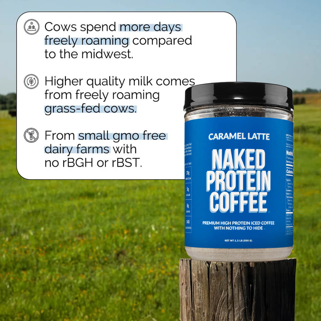 Caramel Latte Protein Iced Coffee - Caramel Latte for Smooth Iced Coffee Protein Routines
