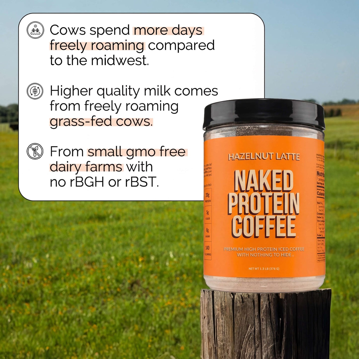 Hazelnut Latte Protein Iced Coffee - Hazelnut Latte for Smooth Iced Coffee Protein Routines