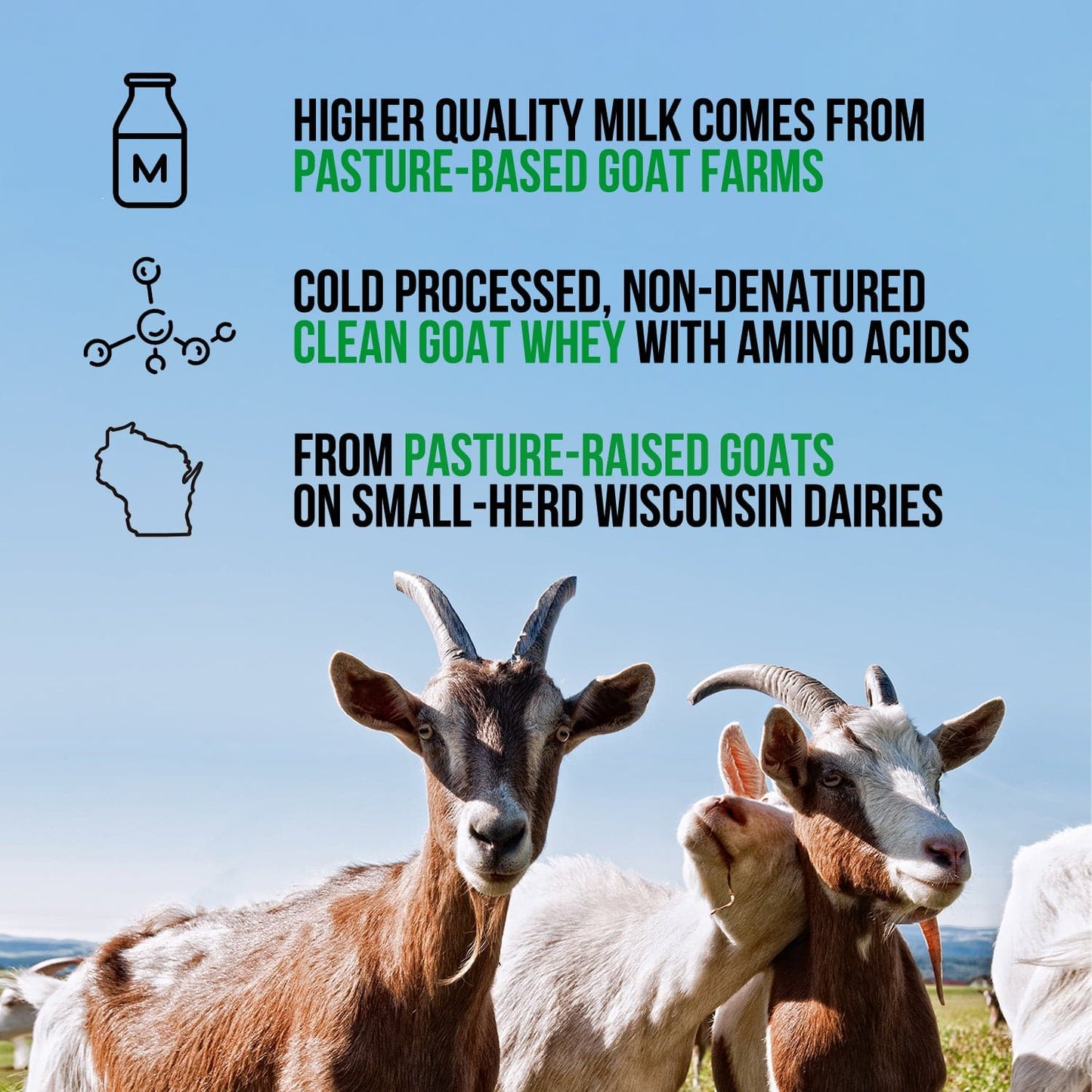 Chocolate Goat Whey Protein Powder - Chocolate for Convenient Daily Protein Mixing
