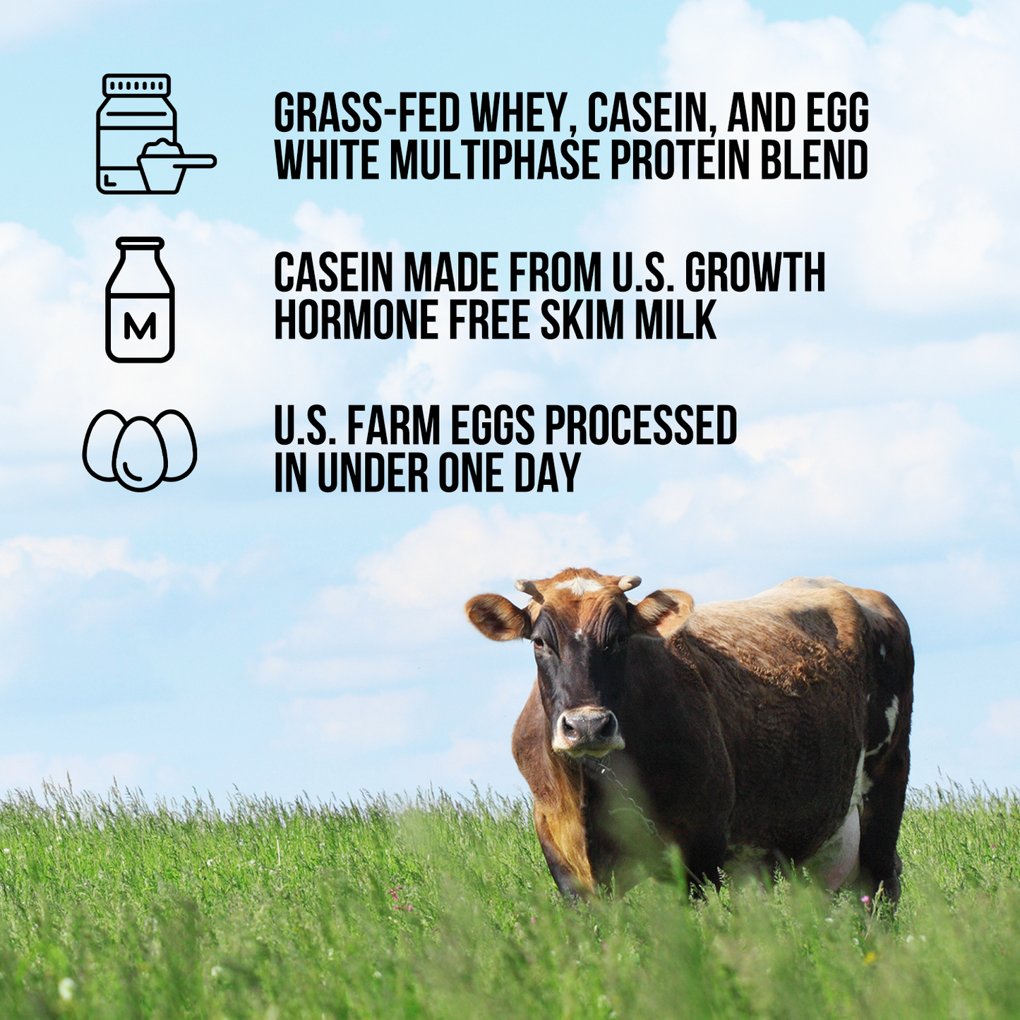 Protein Powder Blend - 3LB Egg Whey & Casein Protein Blend - 3LB for Convenient Daily Protein Mixing