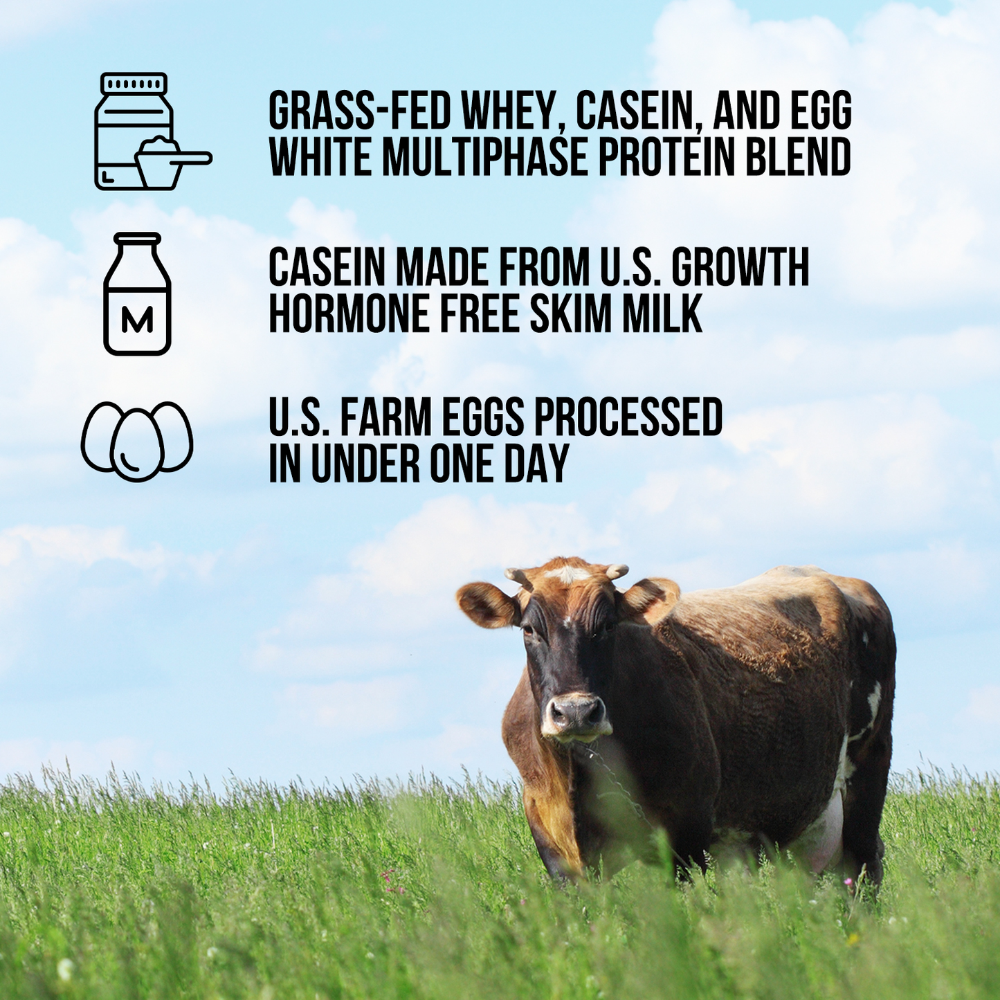 Protein Powder Blend - 1LB Egg Whey & Casein Protein Blend - 1LB for Convenient Daily Protein Mixing