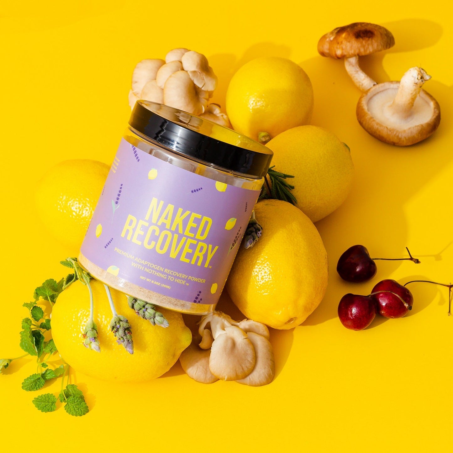 Mushroom Blend Supplement with Tart Cherry & Lemon Balm for Straightforward Daily Mixing