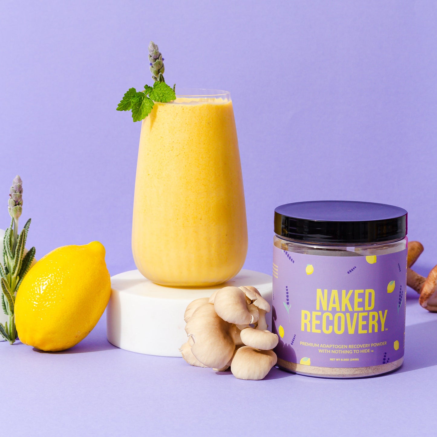 Mushroom Blend Supplement with Tart Cherry & Lemon Balm for Straightforward Daily Mixing
