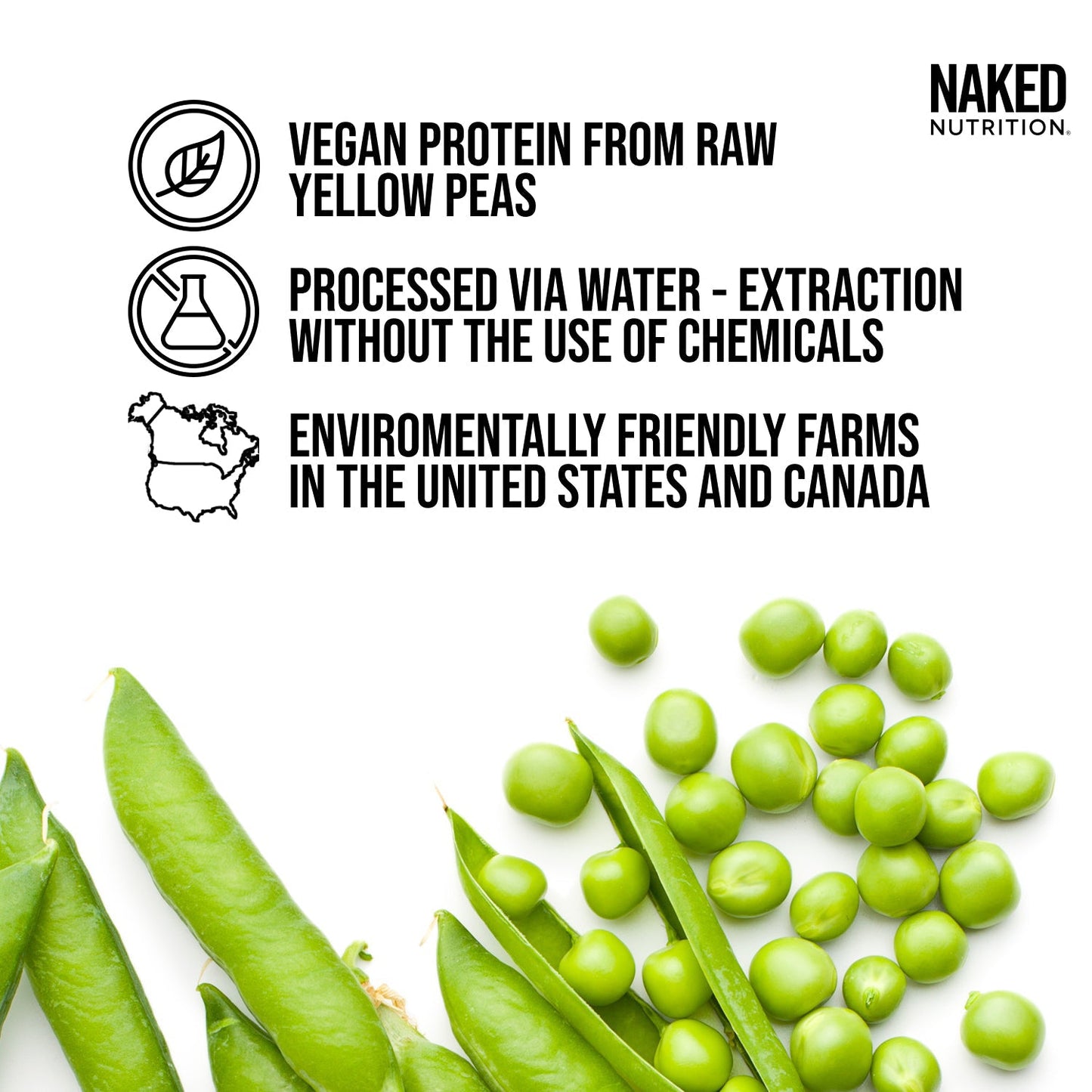 Vanilla Pea Protein Powder - Vanilla - Bulk Size for Convenient Daily Protein Mixing
