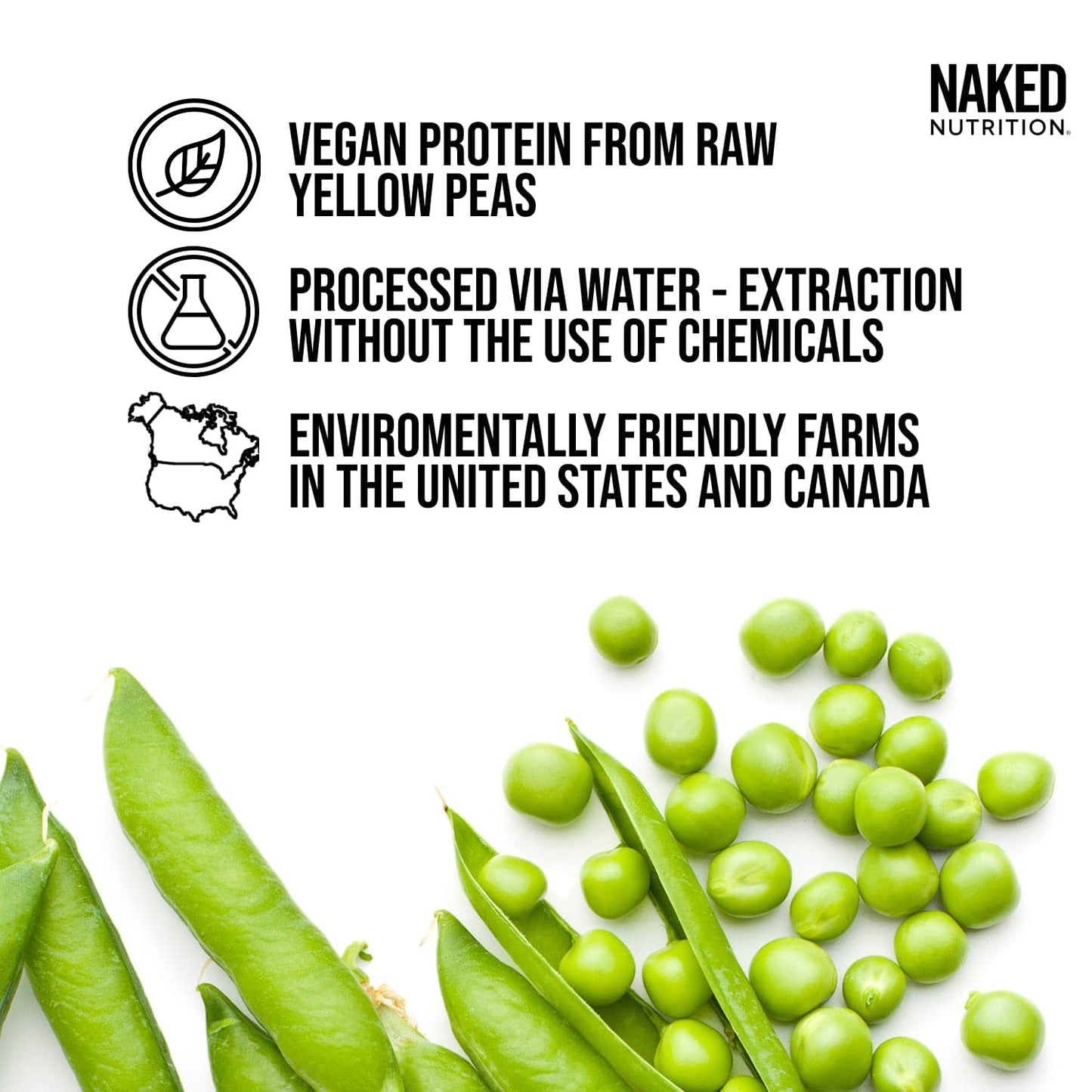 Chocolate Peanut Butter Pea Protein Powder - Chocolate PB - Chocolate Formula for Convenient Daily Protein Mixing