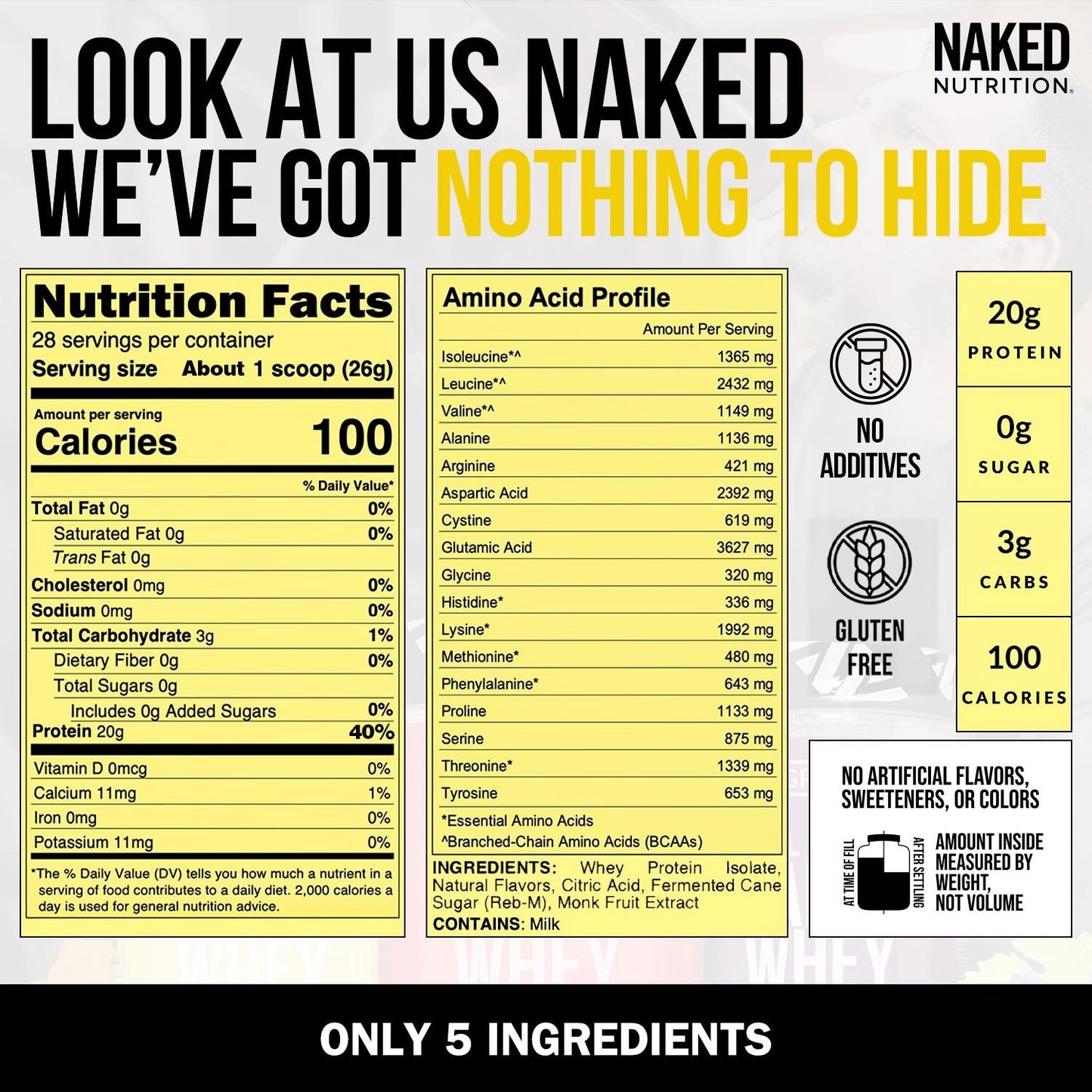 Lemonade Whey Protein Isolate - Lemonade for Straightforward Daily Mixing